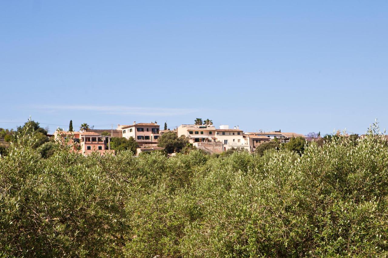 S'Hort De Son Caulelles - Adults Only Villa Marratxí Eksteriør billede