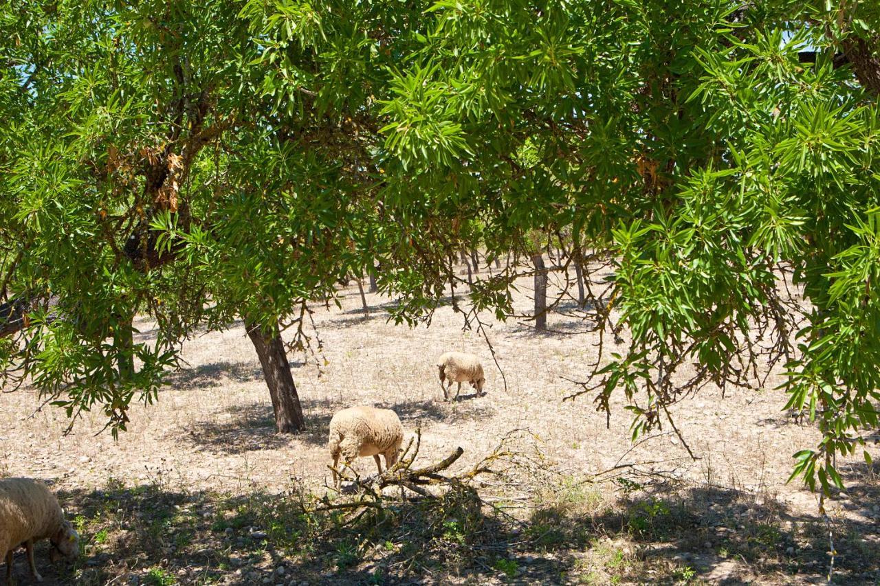 S'Hort De Son Caulelles - Adults Only Villa Marratxí Eksteriør billede