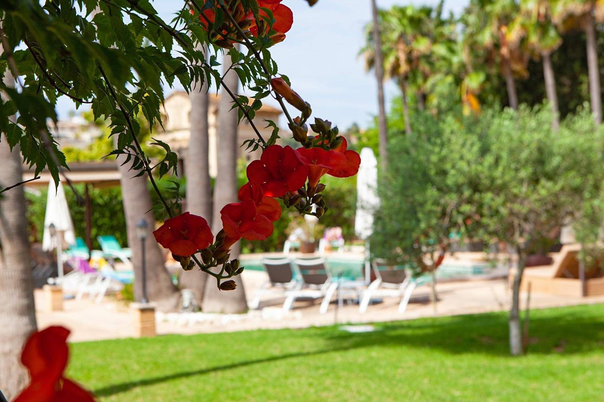 S'Hort De Son Caulelles - Adults Only Villa Marratxí Eksteriør billede